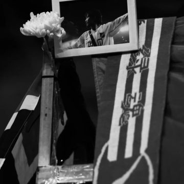 忠字旗下，绿魂永存缩略图