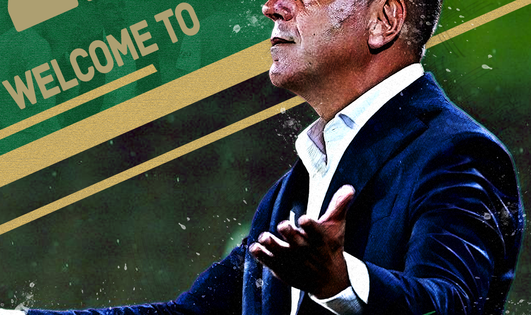 官宣 | 罗斯·阿洛伊西就任浙江FC一线队主教练缩略图